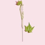 Caudalie – Resveratrol Lift Firming Eye Gel-Cream