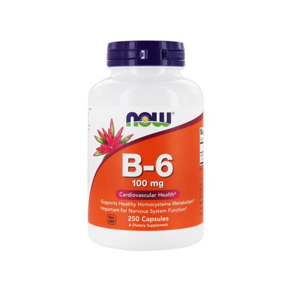 Now – Vitamina B-6 100mg