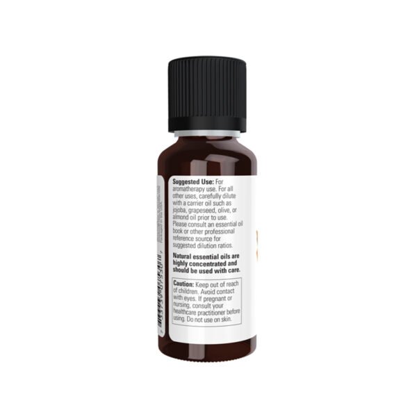 Now – Cinnamon Casia Oil